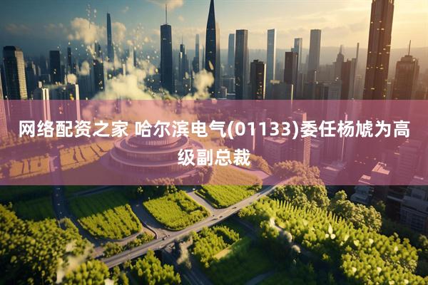 网络配资之家 哈尔滨电气(01133)委任杨虓为高级副总裁